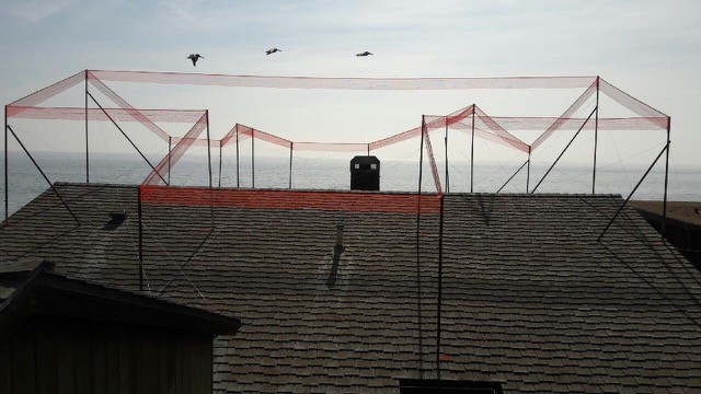 poles on roof overlooking ocean show where a newfloow will be added to the house